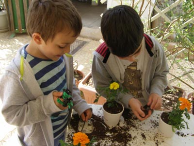 ����������  ������������� 2016