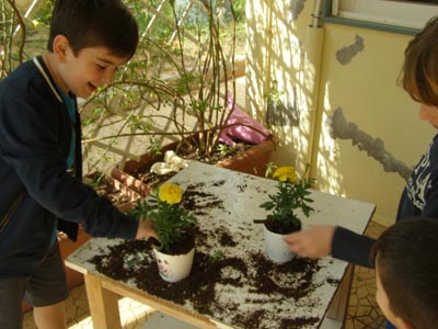 ����������  ������������� 2016