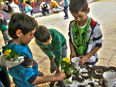 ����������  ������������� 2016