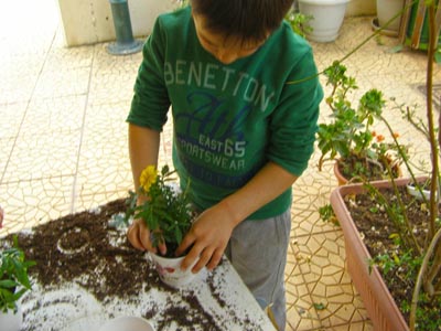 ����������  ������������� 2016