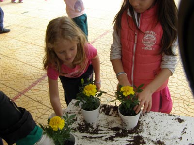 ����������  ������������� 2016