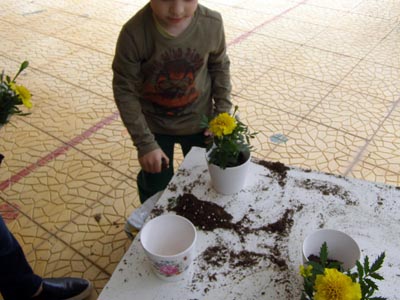 ����������  ������������� 2016