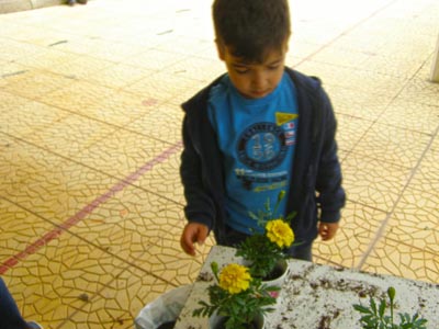 ����������  ������������� 2016