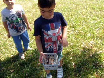 � ���������� ������ �������� ��� ������� ��� 2016