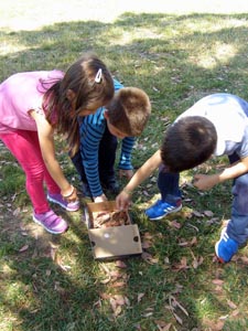 � ���������� ������ �������� ��� ������� ��� 2016