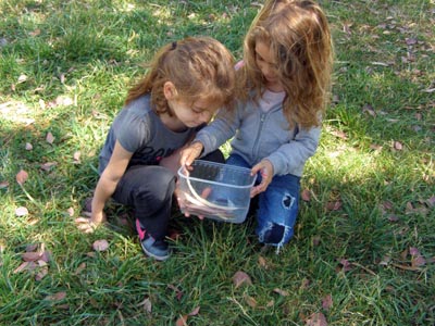 � ���������� ������ �������� ��� ������� ��� 2016