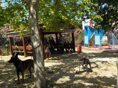 ����� ������������� ������  2016