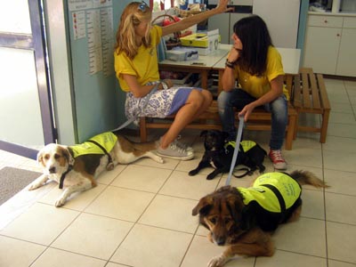 � Sapt Hellas ��� ����������� ���  2016