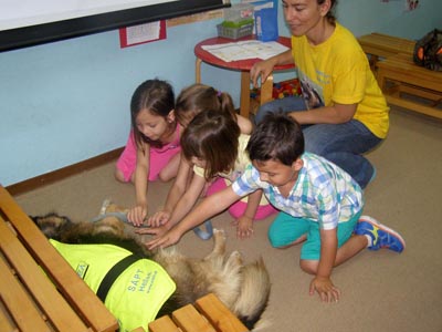 � Sapt Hellas ��� ����������� ���  2016