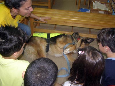 � Sapt Hellas ��� ����������� ���  2016