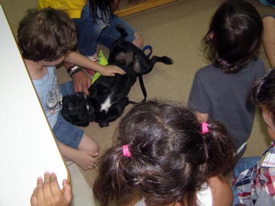 � Sapt Hellas ��� ����������� ���  2016