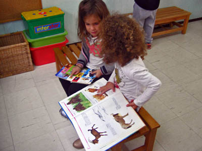 ������ �� ��������� ��������������