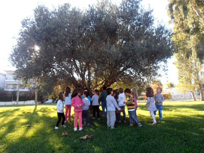 ������ ��� ������������ 