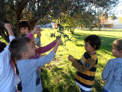 ������ ��� ������������ 