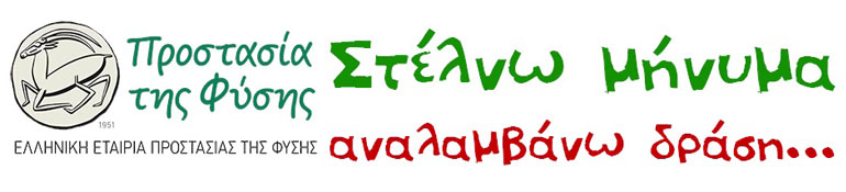 ������  ������, ���������� ����� - �������������� ��������� 2015