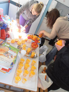 ��������� ������ ������ 2015-16