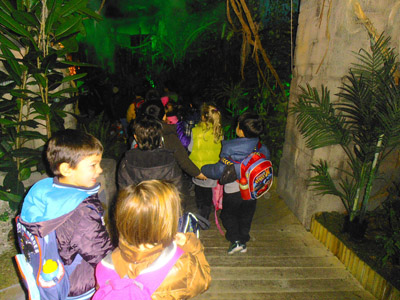 ������� ���������