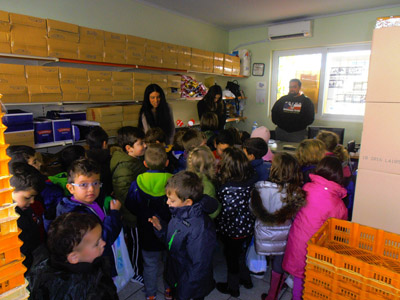 ���������� 2015 - ������������