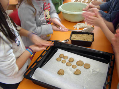 ������������ 2017