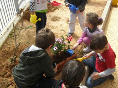 �������������