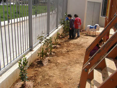 �������������