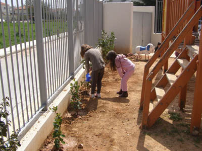 �������������