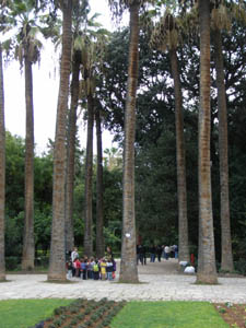 �������� ���� ������ ���� 26-11-2010