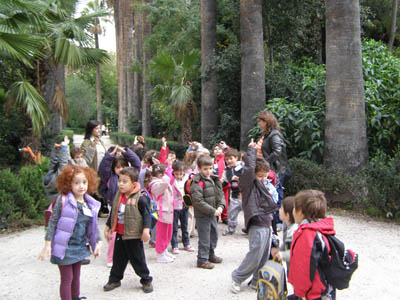 �������� ���� ������ ���� 26-11-2010