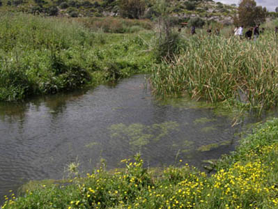 �������� ���� �������� ��� ���  ������� ��������� 2011