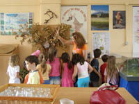 �������� ��� ������ ��������������� ����������� ������