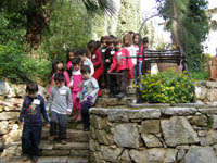 �������� ��� ������� �����