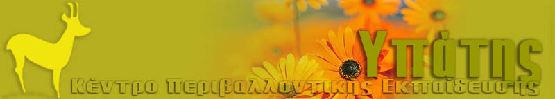 ������ ��������������� ����������� ������