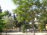 ���������� �����