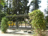 ���������� �����