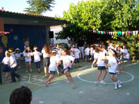 ������ ����� 2010