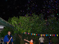 ������ ����� 2010