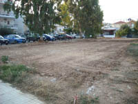 �������� ������� 2010