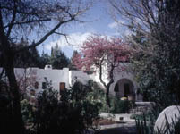 ������� �����