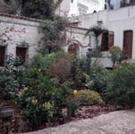 ������� �����