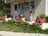 �������������� ����������� 2008-09