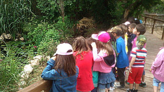 ������ ��� ������ ��� ��� - ����� ������ 17-5-2013