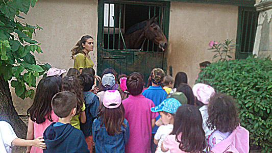 ������ ��� ������ ��� ��� - ����� ������ 17-5-2013