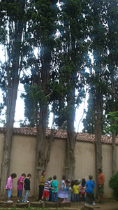 ������ ��� ������ ��� ��� - ����� ������ 17-5-2013