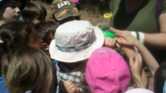 ��� �������,  30-5-2013