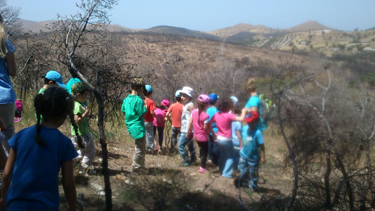 ��� �������,  30-5-2013