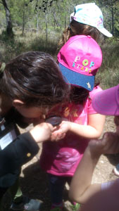 ��� �������,  30-5-2013