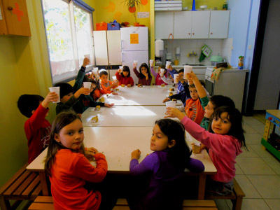 ���� ����������� 2013