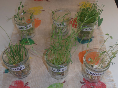 ��������� ������������� 2012-2013