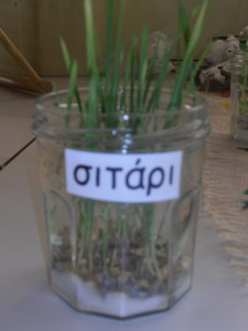 �������������� ��������� 2012-2013