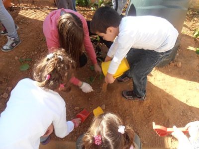 �������������� ��������� 2012-2013